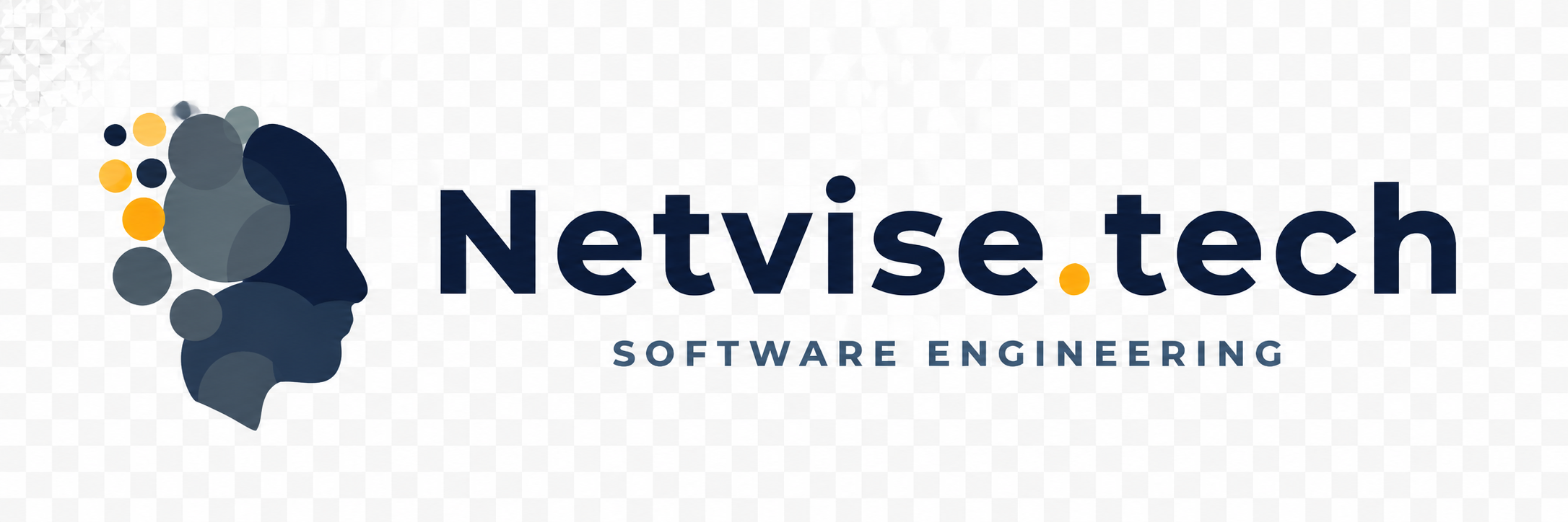 netvise.tech academy
